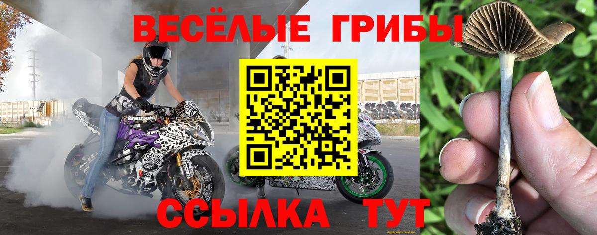 Галлюциногенные грибы ЛСД  Вход с VPN  Галлюциногенные грибы прущие грибы  Сыктывкар 